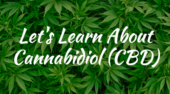 How To Be Able To Omega 3 Rich Foods To The Everyday Diet