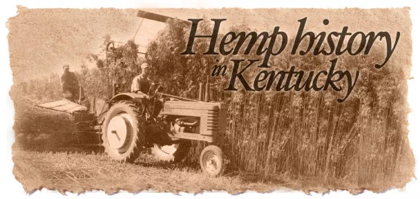 hemp-production-in-Kentucky