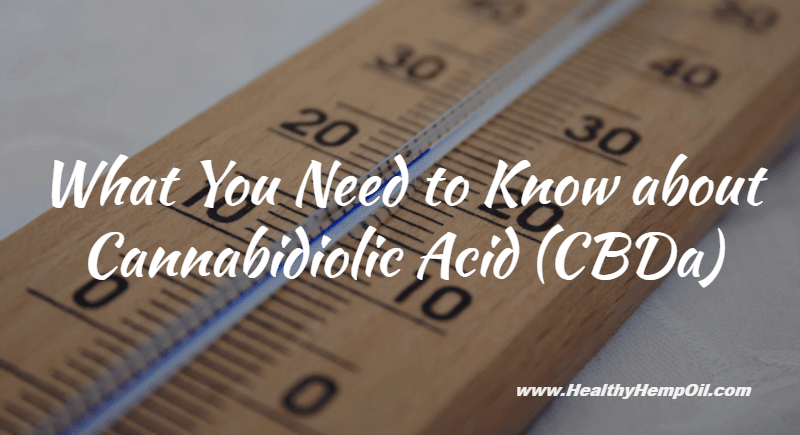 Cannabidiolic Acid - Featured Image