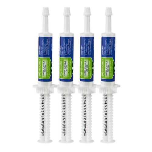 BioCBD+ Water Soluble CBD Gel Extra Strength Cellular Support With Turmeric 4 Pack Tubes