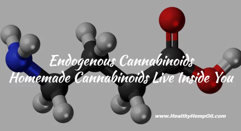 Endogenous Cannabinoids