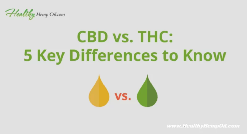 CBD vs THC - Healthy Hemp Oil.com - Featured Image