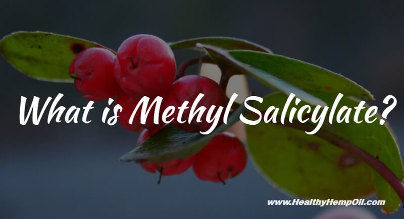 What Is Methyl Salicylate