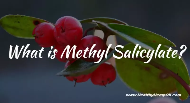 What Is Methyl Salicylate