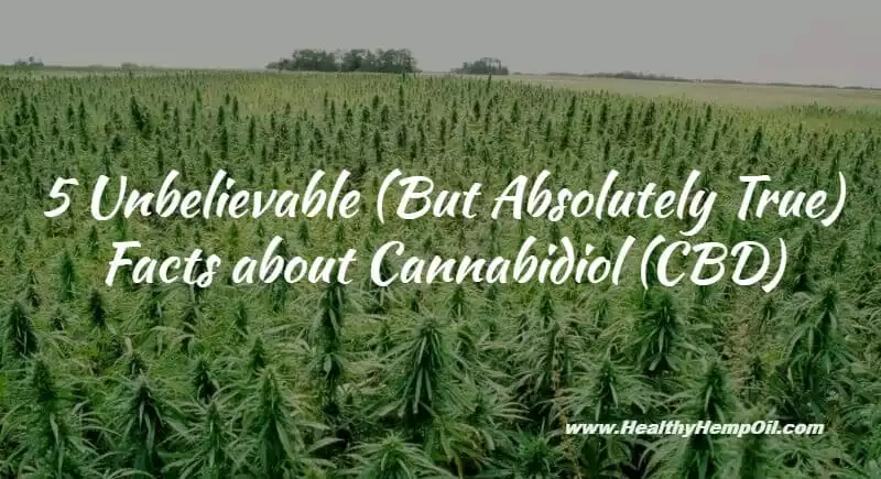 5 Unbelievable Facts about Cannabidiol (CBD)