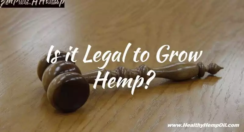 is-it-legal-to-grow-hemp