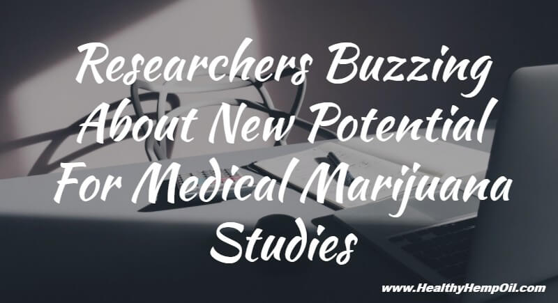 researchers-buzzing-about-new-potential-for-medical-marijuana-studies