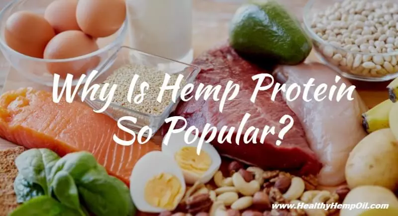 why-is-hemp-protein-so-popular