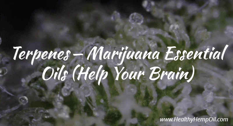 Terpenes - Marijuana Essential Oils (Help Your Brain)