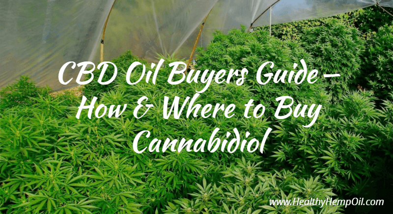 CBD Oil Buyers Guide \u2022 How \u0026 Where to Buy Cannabidiol | HHO