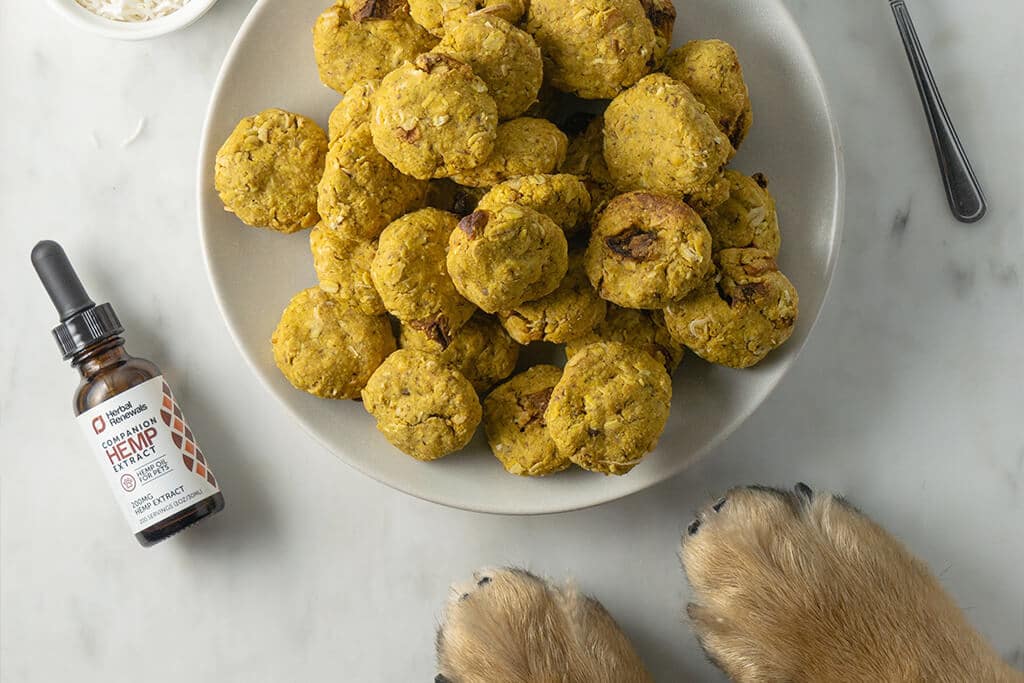 CBD dog treat recipes