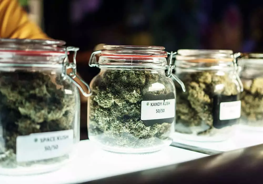 Jars of marijuana in cannabis dispensary